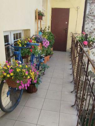 Miodowa Apartment Krakkó Kültér fotó
